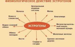 Как лечить геморрой при месячных?