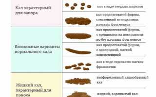 Особенности кала при геморрое: цвет, форма, включения