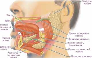 Как обезопасить себя от воспаления слюнной железы и что делать при возникновении проблемы?