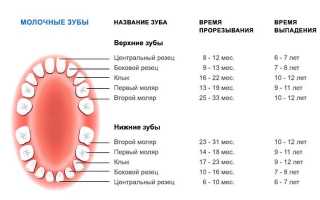 Когда показано удаление молочных зубов, а когда их лучше просто лечить?