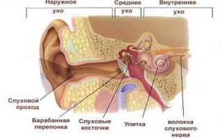 Степени кондуктивной тугоухости и ее лечение