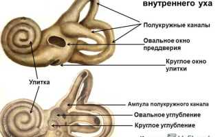 Симптомы и лечение лабиринтита у детей