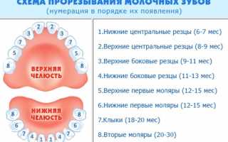 Сколько дней длится понос при прорезывании зубов и что делать в этой ситуации?