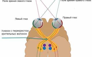 Бинокулярное зрение