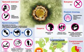 Как не заразиться коронавирусом